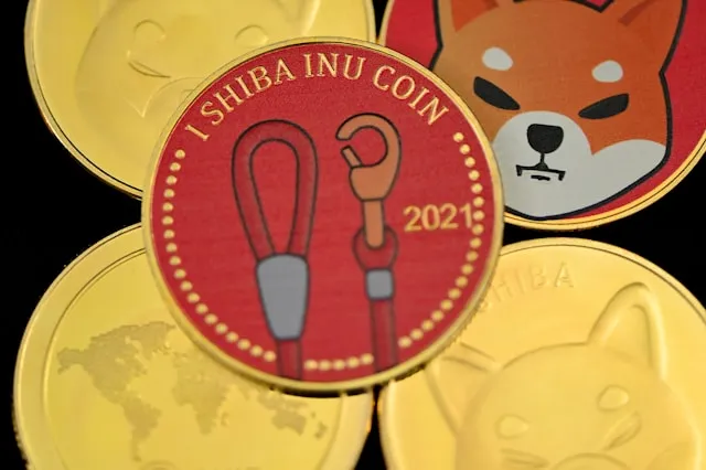 Where Will Shiba Inu, Rollblock, and Cardano Be in 2 Years?shiba inu price prediction Where Will in 2 years